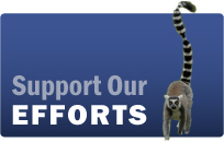 Support Duke Lemur Center
