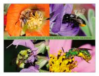 Garden Variety Bees Calendar