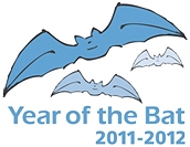 Visit the Year of the Bat Website