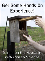 Get some hands-on experience:  join in on the research with Citizen Science!