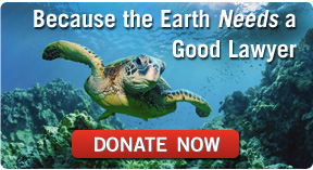Happy 2012! Give Today and help Earthjustice Protect our Earth