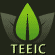 TEEIC logo