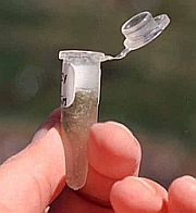 Sample vial [Photo: U.S. National Park Service]