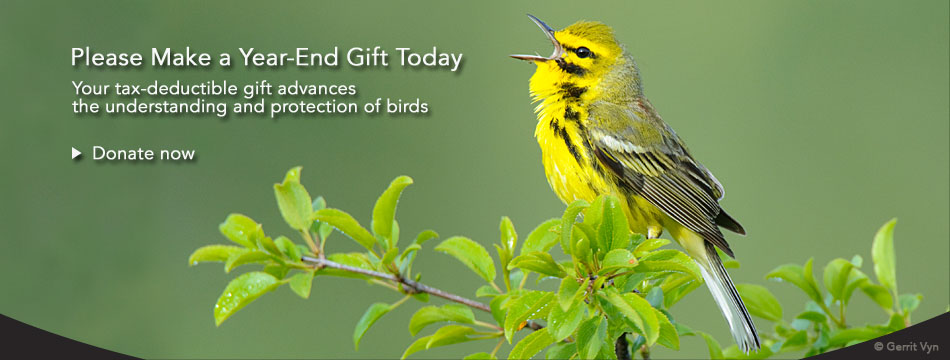 Your tax-deductible gift advances the understanding and protection of birds