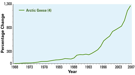 ArcticGeese_Indicators_Chart.jpg