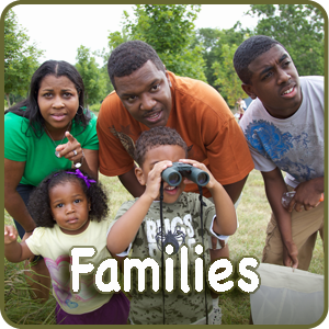 families box image