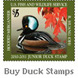 Buy Duck Stamps icon