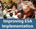Improving ESA Implementation logo