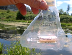 A USGS scientist is holding a sampling bag containing a small cartridge filter. A wetland near Beaverton, Oregon, can be seen in the background.