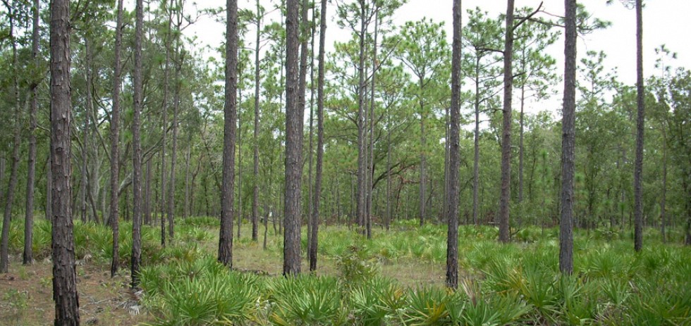 Habitat Management Guidelines