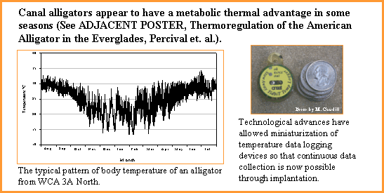 Alligator thermoregulation - click graphics to enlarge