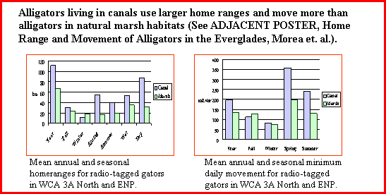 Alligator home range and movement - click graphics to enlarge