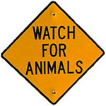 watch for animals sign