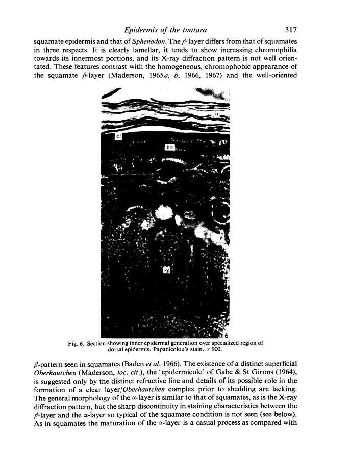 icon of scanned page 317