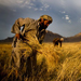 Afghan farmer