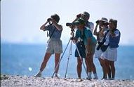 People bird watching