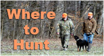 Where to Hunt