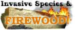 link to firewood rules and practices page