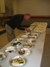 man looking at plant samples at a table