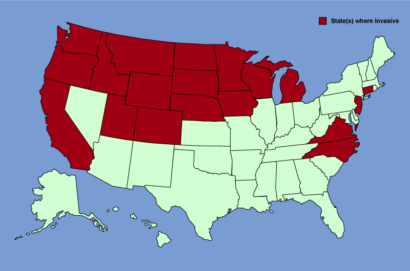 leafy spurge distribution map