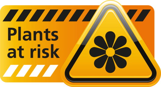Plants at Risk
