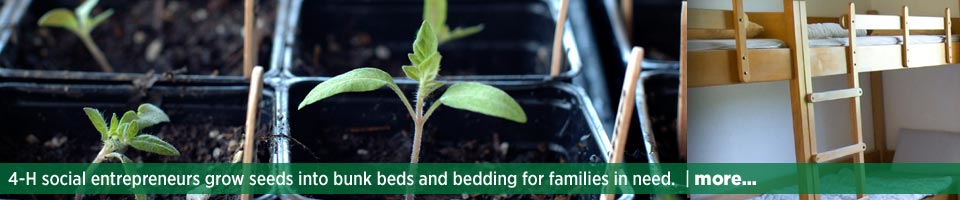4-H social entrepreneurs grow seeds into bunk beds and bedding for families in need.