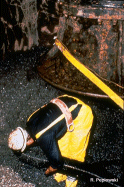 Worker removing zebra mussels from Detroit Edison water intake pipes.<br>
Photo by Ron Peplowski Detroit Edison, Monroe Michigan Power Station<br>
National Sea Grant Network Exotic Species Graphics Library
