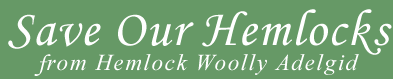 Save Our Hemlocks from Hemlock Woolly Adelgid