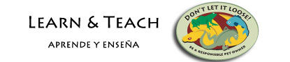 Learn & Teach Banner