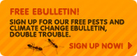 Free e-bulletin