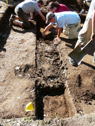 Image showing a 50cm wide trench that identified an archaeological feature of shells 