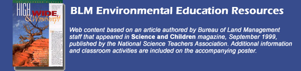Banner with cover of Science & Children article "High, Wide, & Windswept"