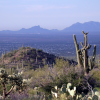 NPScape is working with Saguaro National Park and the NPS Sonoran Desert Inventory and Monitoring Network on a project to evaluate the environmental drivers, natural systems, and conservation context of the Park. NPScape conservation status measures derived from PAD-US have helped Saguaro visualize and understand surrounding land ownership and land management over multiple spatial extents.