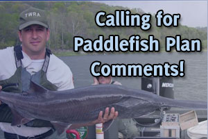 Submit Comments Concerning Paddlefish Plan Proposal