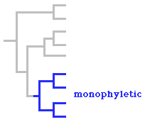 monophyletic diagram