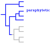 paraphyletic diagram