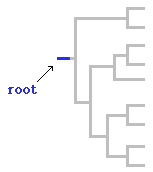 root diagram