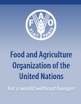 Food and Agriculture Organization of the United Nations logo