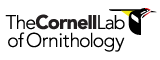 Cornell Ornithology Lab Logo