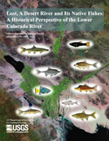 Cover image of publication 10026