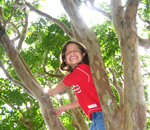 Young student explores a tree
