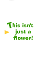 This isn't just a flower!