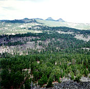 South Central Rockies forests