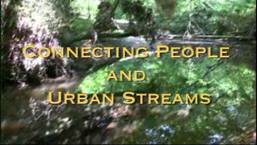 Connecting People and Urban Streams