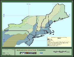 map of Baileys Ecoregions in the Northeastern U.S.