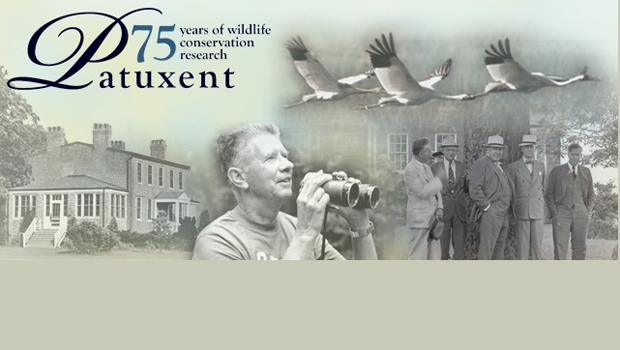 Celebrating Patuxent: 75 Years of Wildlife Conservation Research
