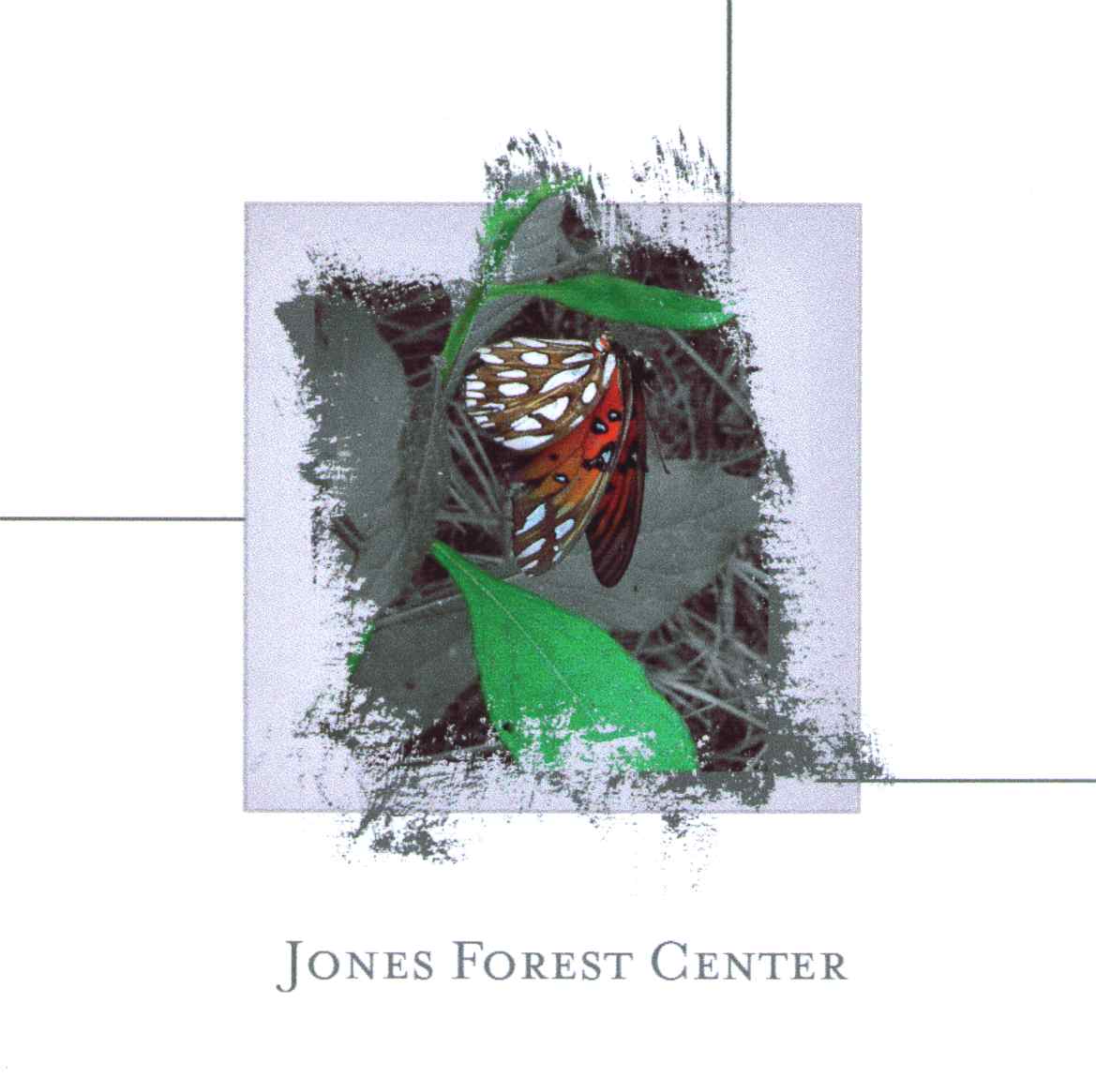 Jones Forest Center