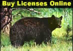 Buy Licenses Online