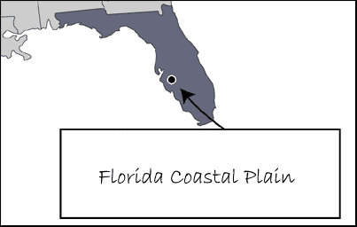 Florida Coastal Plain