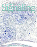 The cover of SCIENCE SIGNALING magazine 
[Image: Daniel J. O'Connell/Division of Genetics, Department of Medicine, Brigham and Women's Hospital, Harvard Medical School, Boston, MA]
